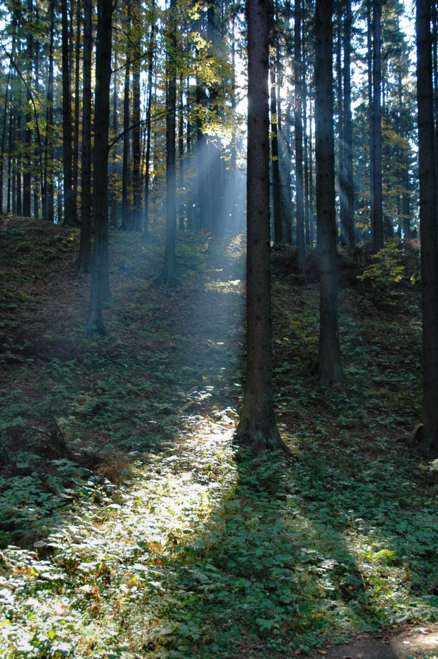 bezkicka0621.jpg