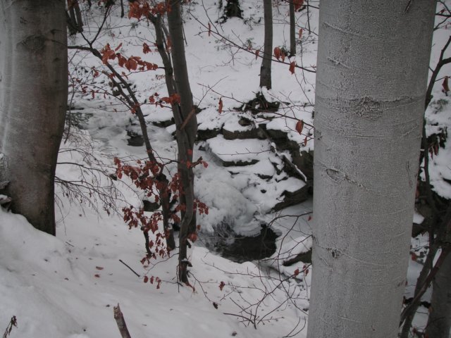 pict0012.jpg