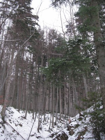pict0031.jpg