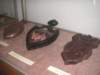 pict0164_small.jpg